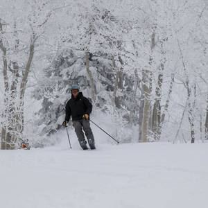 Meet your Posher, Alexander